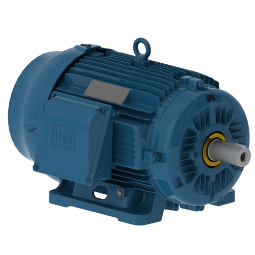 WEG_W22_284_6T_TEFC_FootMounted_Primary.png
