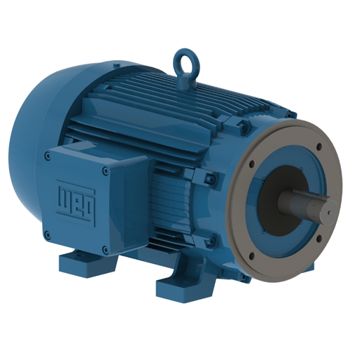 WEG_W21_NEMA__IC-411_TEFC_Footed_Primary.png