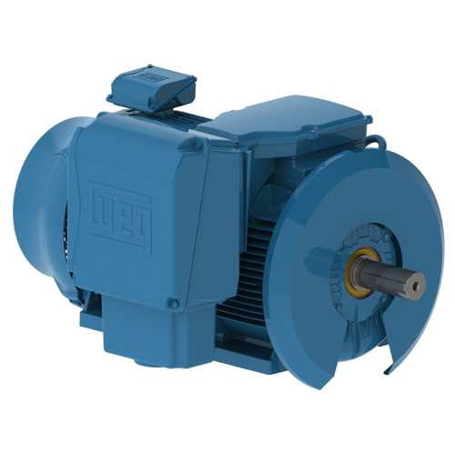 WEG_W22Xec_Medium_Voltage_TEFC_Footed_Primary.png