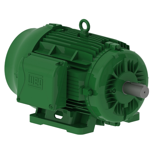 WEG_W22_IC411_TEFC_Primary.png