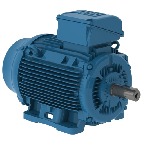 WEG_W22_286TS_Nema_TEFC_Footed_Primary.png