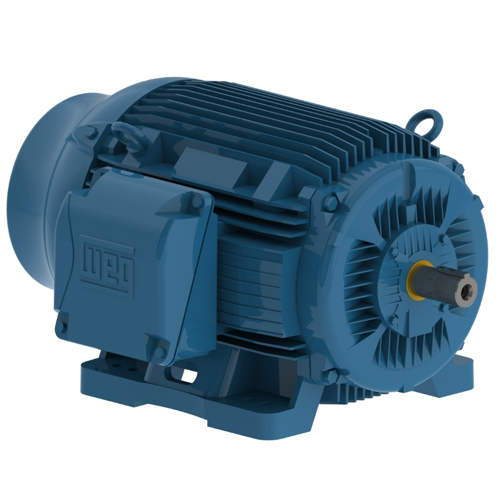 WEG_W22_IEEE841_TEFC_Primary.png