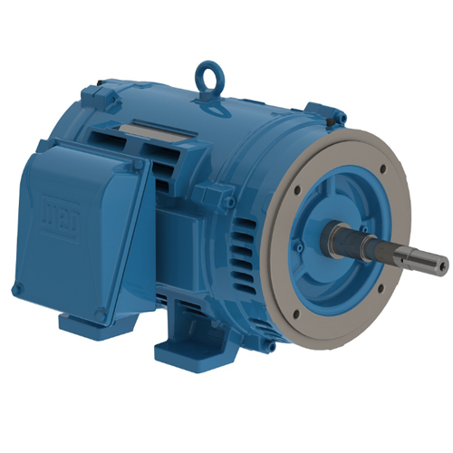 WEG_W40_JP_Pump_IC01-ODP_Footed_Primary.png