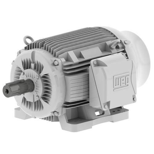 WEG_W22_TC411_TEFC_Foot_Mounted_Primary.png
