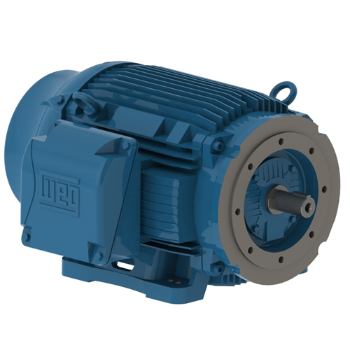 WEG_W22_444_5TC_TEFC_Foot_Mounted_Primary.png
