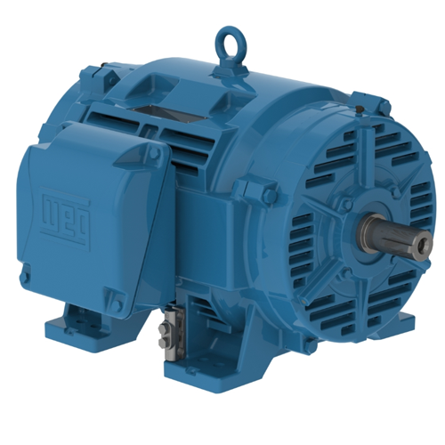 WEG_W40_High_efficiency_Foot_Mounted_Primary.png