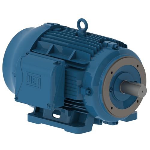 WEG_W22_NEMA_Premium_TEFC_Footed_Primary.png