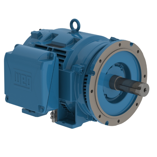 WEG_W40_444_5TSD_ODP_FootMounted_Primary1.png