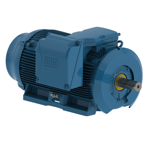 WEG_W22_L447_9T_TEFC_FootMounted_Primary.png