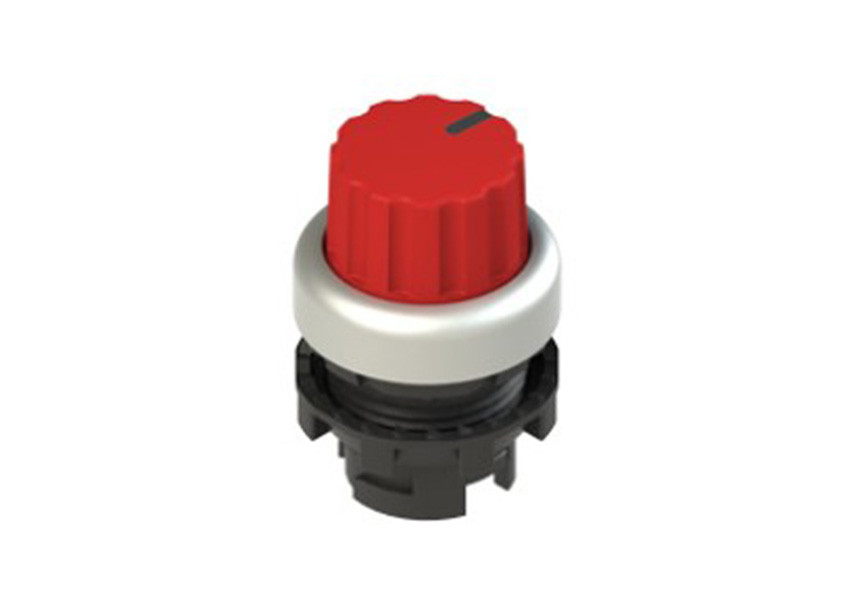 Pizzato_E2 1SE43GCE39AB_Primary.jpg