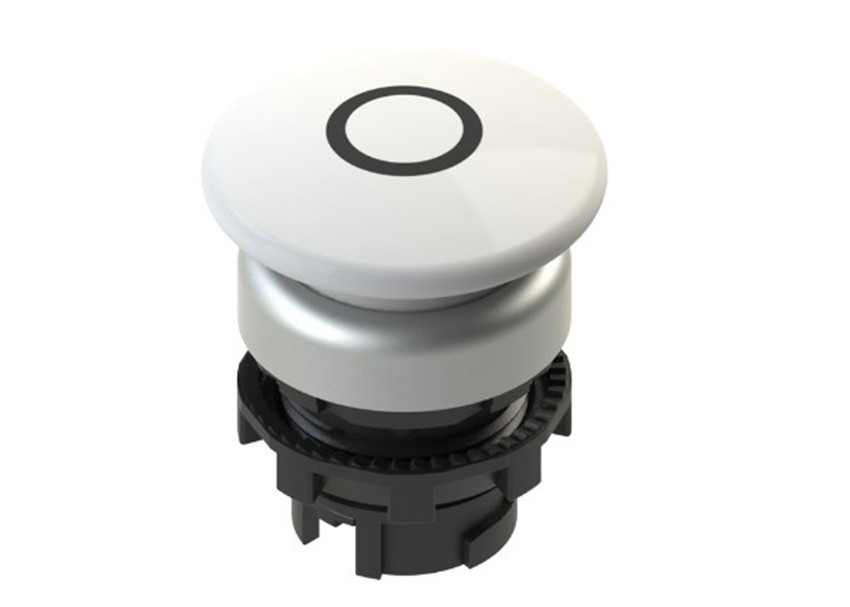 Pizzato_E2 1PL1F249L1_Primary.jpg