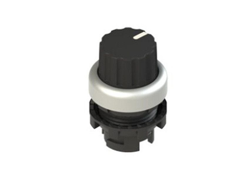 Pizzato_E2 1SE43ACE19AB_Primary.jpg