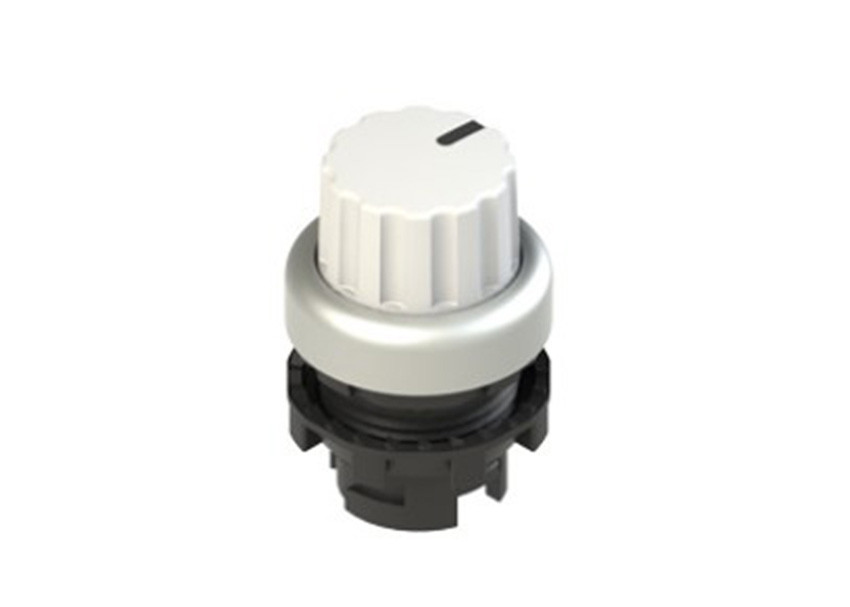 Pizzato_E2 1SE43FCE29AB_Primary.jpg