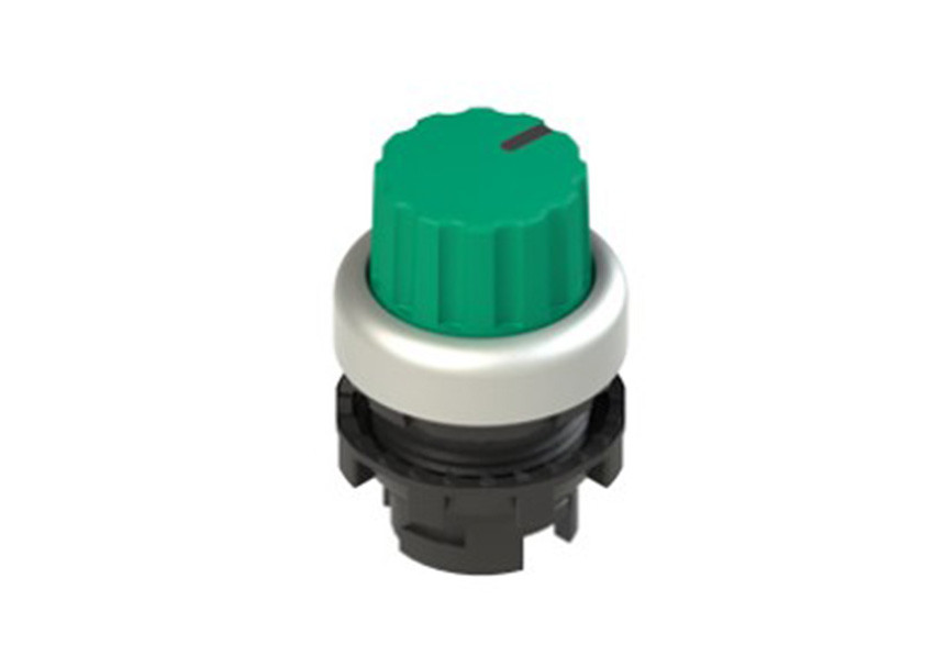 Pizzato_E2 1SE43GCE49AB_Primary.jpg