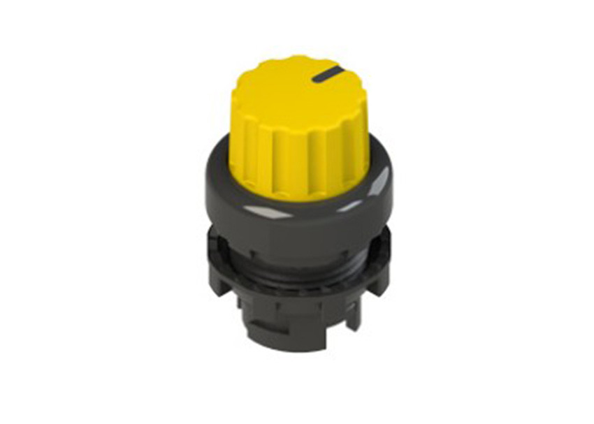 Pizzato_E2 1SE43GCE51AB_Primary.jpg