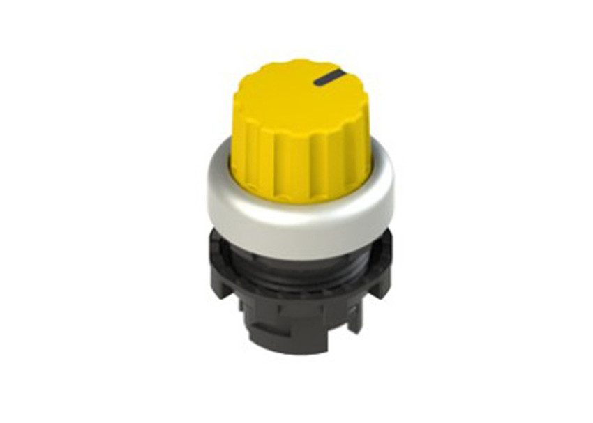 Pizzato_E2 1SE43GCE59AB_Primary.jpg