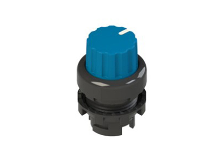 Pizzato_E2 1SE43GCE61AB_Primary.jpg