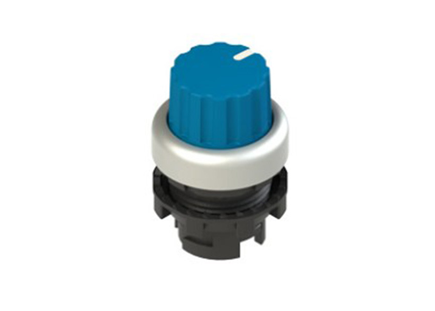 Pizzato_E2 1SE43GCE69AB_Primary.jpg