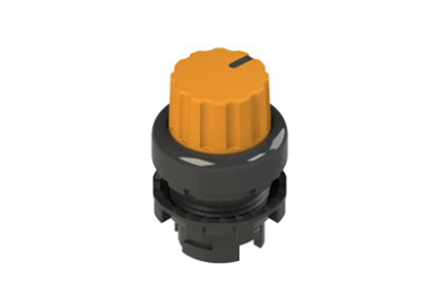 Pizzato_E2 1SE43FCE81AB_Primary.jpg