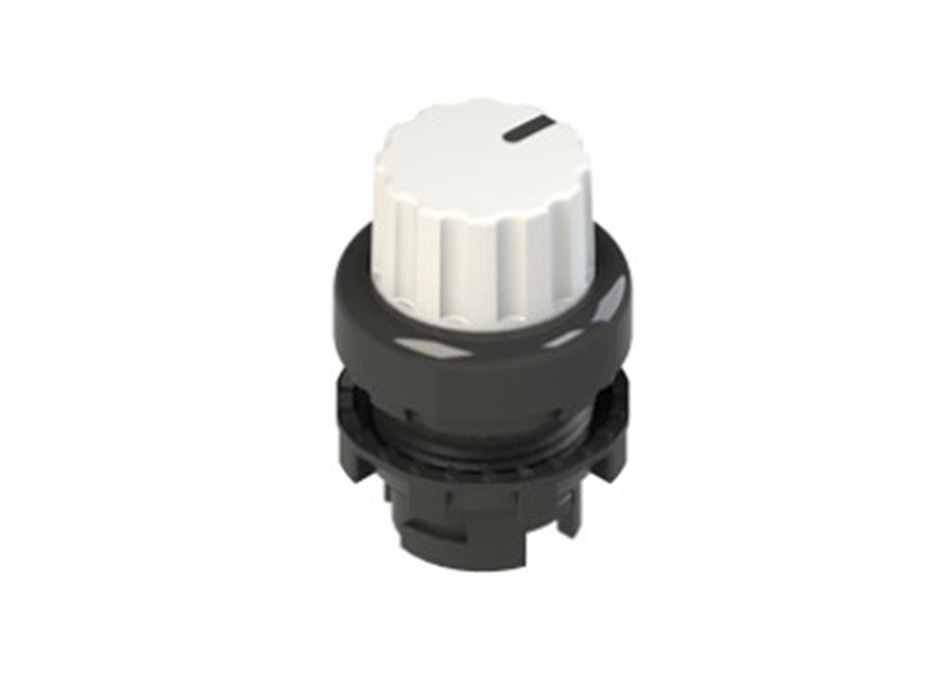 Pizzato_E2 1SE43GCE21AB_Primary.jpg