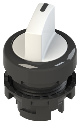 Pizzato_E2 1SE12ACA21AB_Primary.png