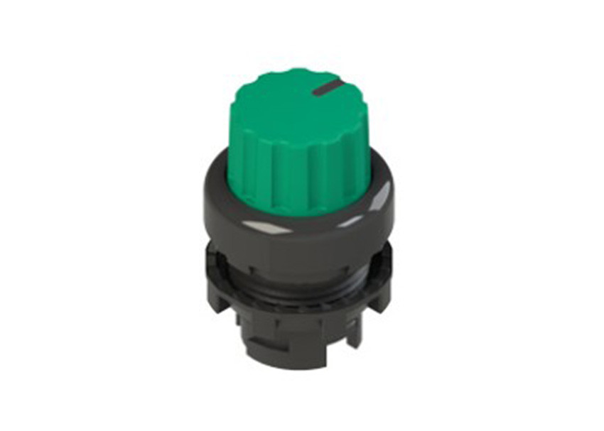 Pizzato_E2 1SE43FCE41AB_Primary.jpg