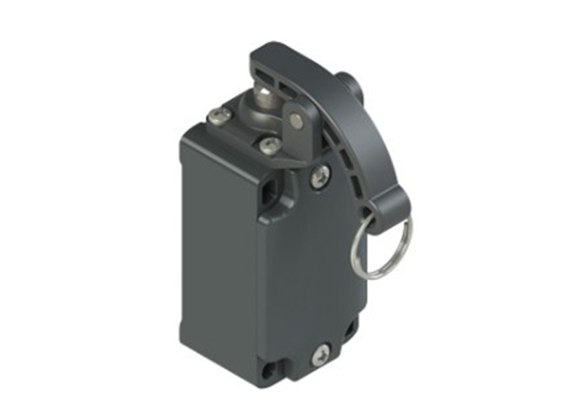 Pizzato_FD 1109-M2_Primary.jpg