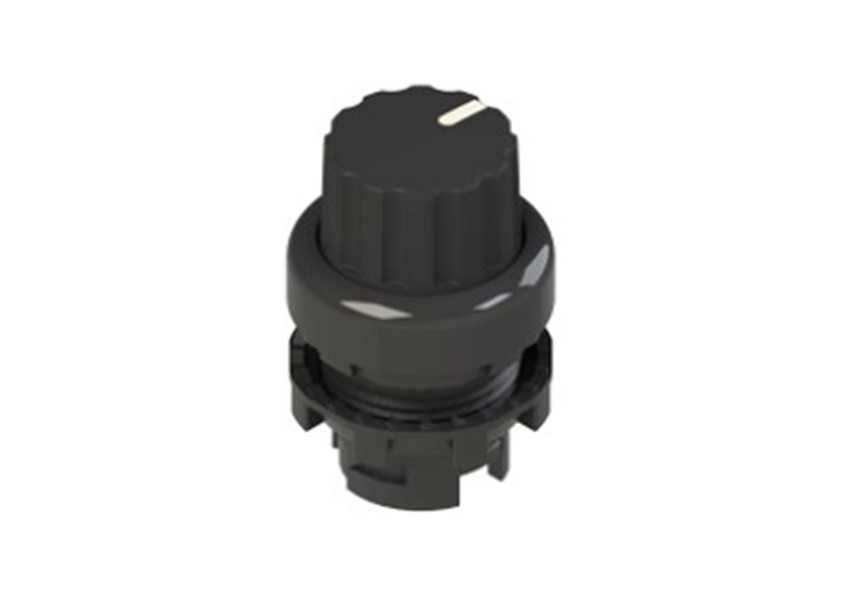 Pizzato_E2 1SE43FCE11AB_Primary.jpg