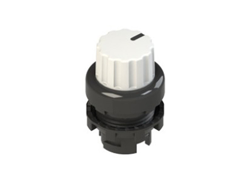 Pizzato_E2 1SE43FCE21AB_Primary.jpg