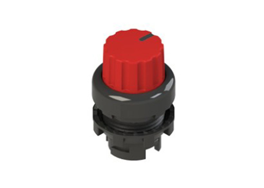 Pizzato_E2 1SE43FCE31AB_Primary.jpg