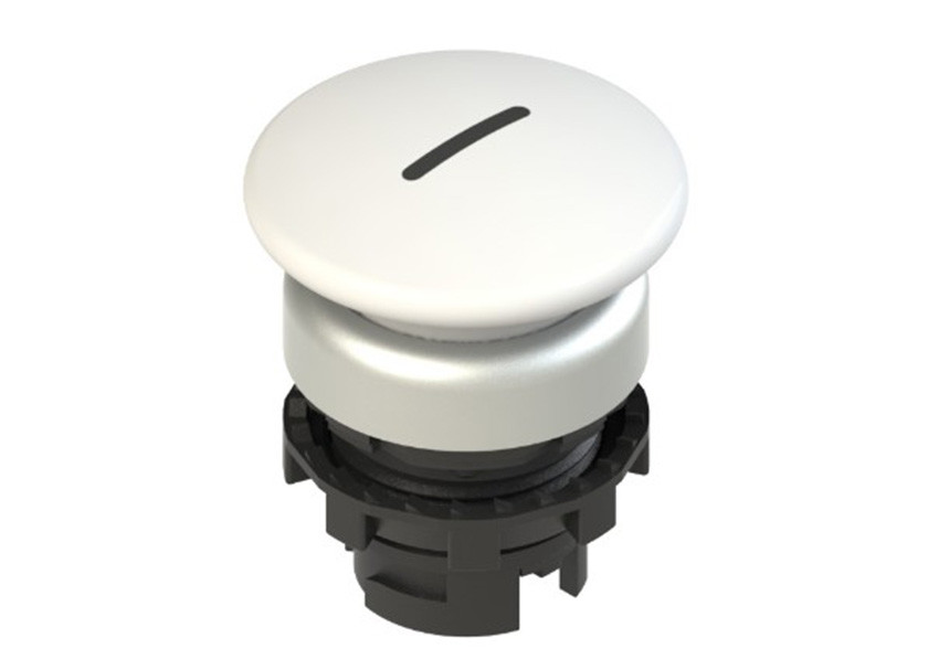 Pizzato_E2 1PL1F249L2_Primary.jpg