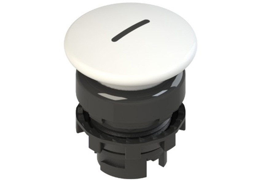 Pizzato_E2 1PL1F241L2_Primary.jpg