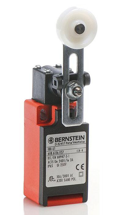 bernstein_i88-av_1__61255.jpg