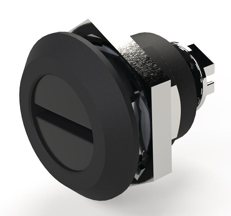 sce-dlsbb__20455.jpg