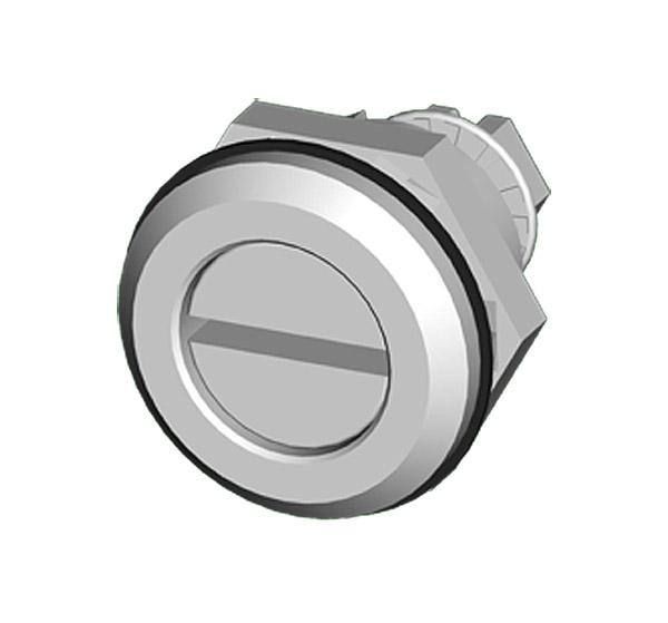 sce-minq__84834.jpg