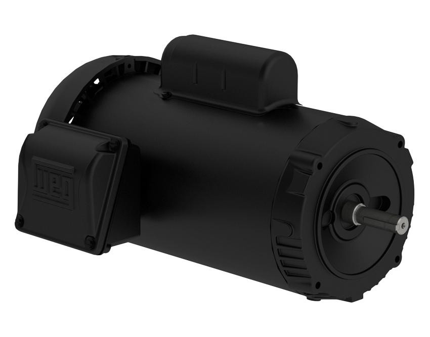 weg-3ph-tefc-f1-footless__02861.jpg