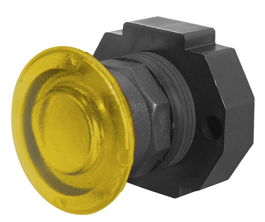 weg-csw30h-bepi_yellow__48549.jpg