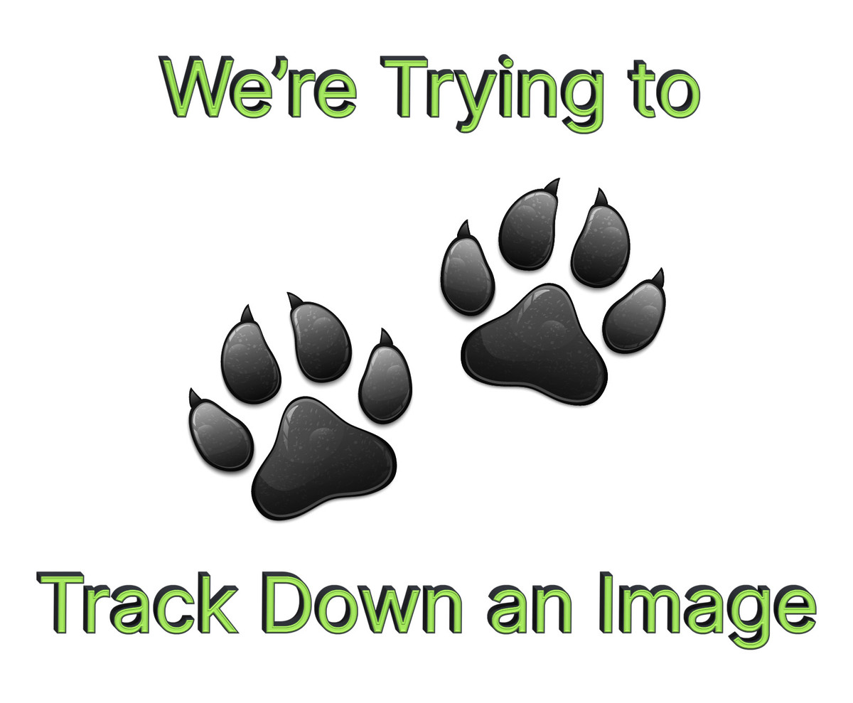 Were Trying to Track Down an Image-01.jpg