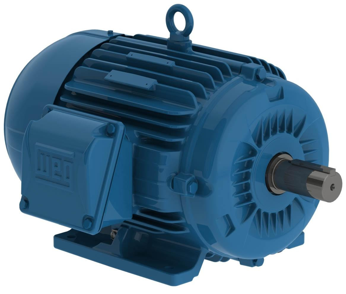 weg_-_motor_-_00318et3e182t-w22g__75151.jpg