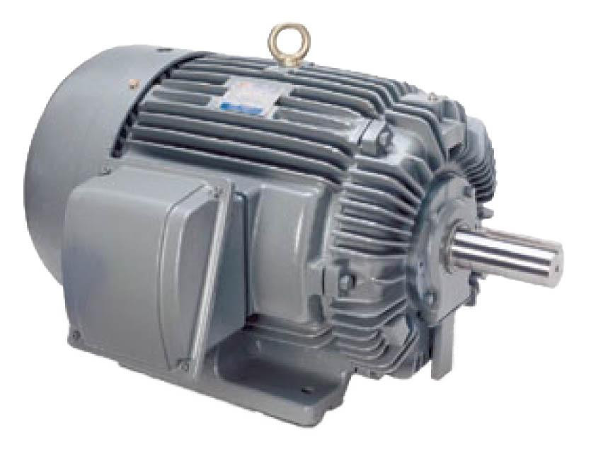 teco_-_ep0604_-_motor__14714.jpg
