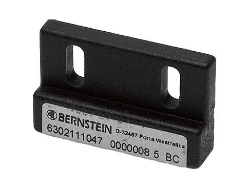 bernstein_tk-11-11__46099.jpg