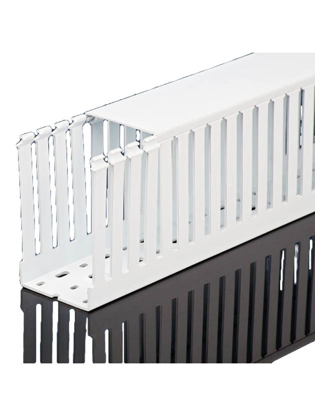 t1-3050w_870x630_1__24003.jpg