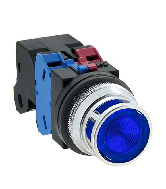 idec_alfd_trsnf_blue_3__05419.jpg