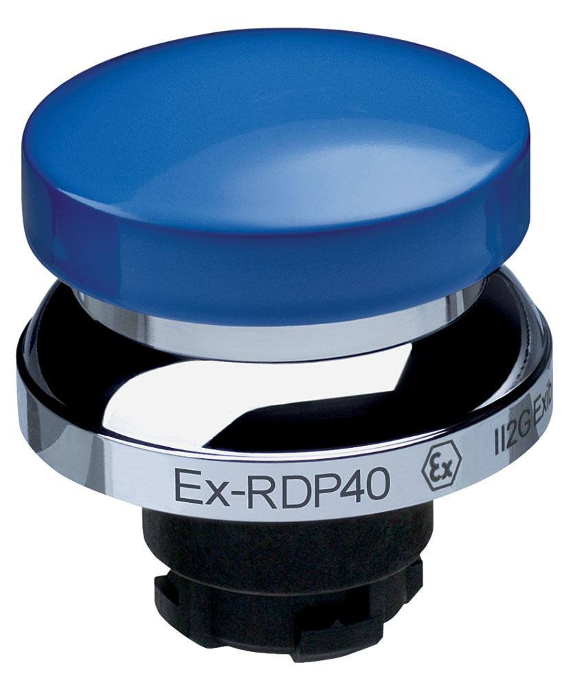 schmersal_ex-rdp40-blue__46686.jpg