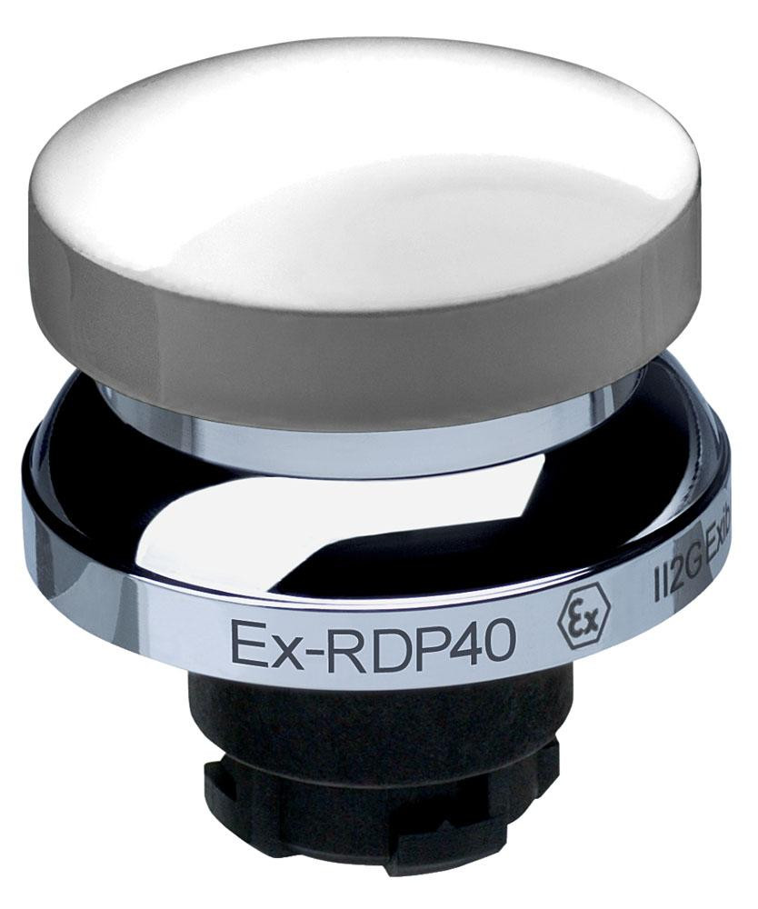 schmersal_ex-rdp40-white__54701.jpg