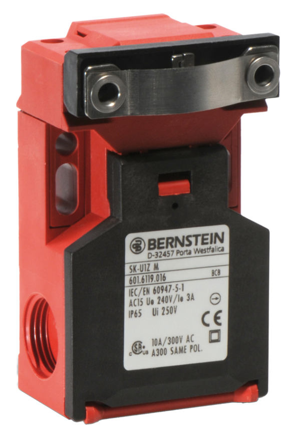 Bernstein_6016119181_Primary.png