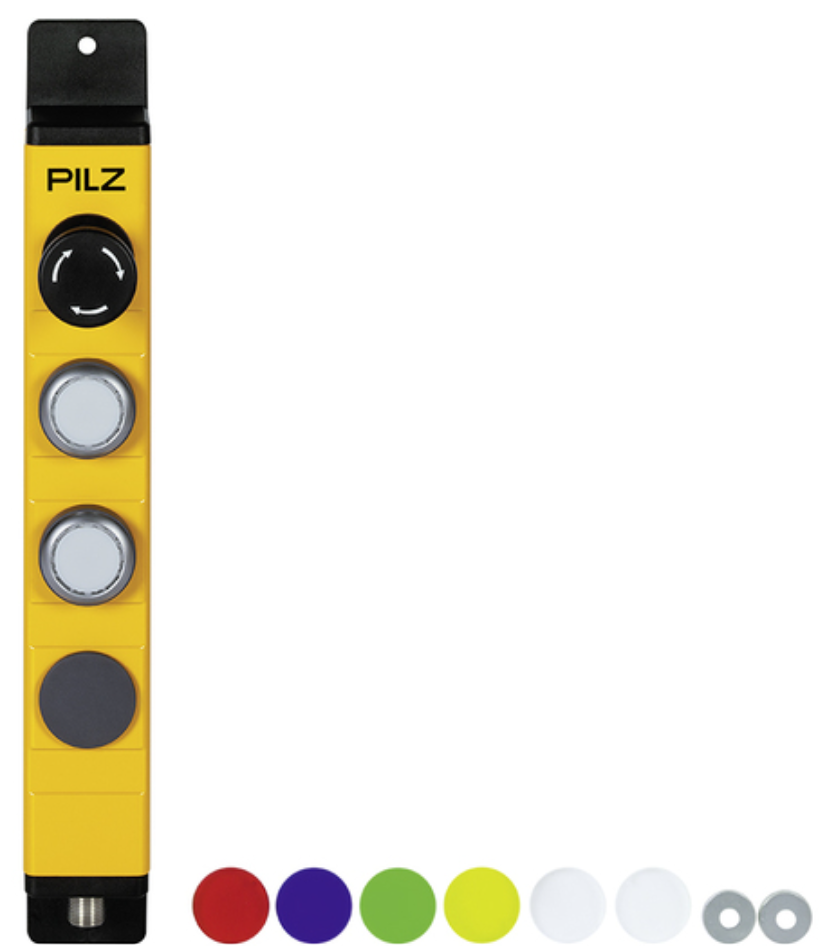 Pilz_G31_Primary.png