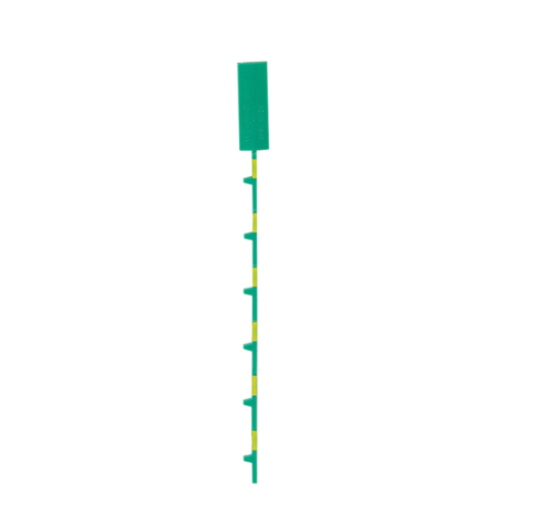 Pilz_312956_Primary.png
