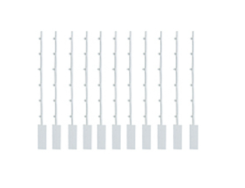 Pilz_312957_Primary.png