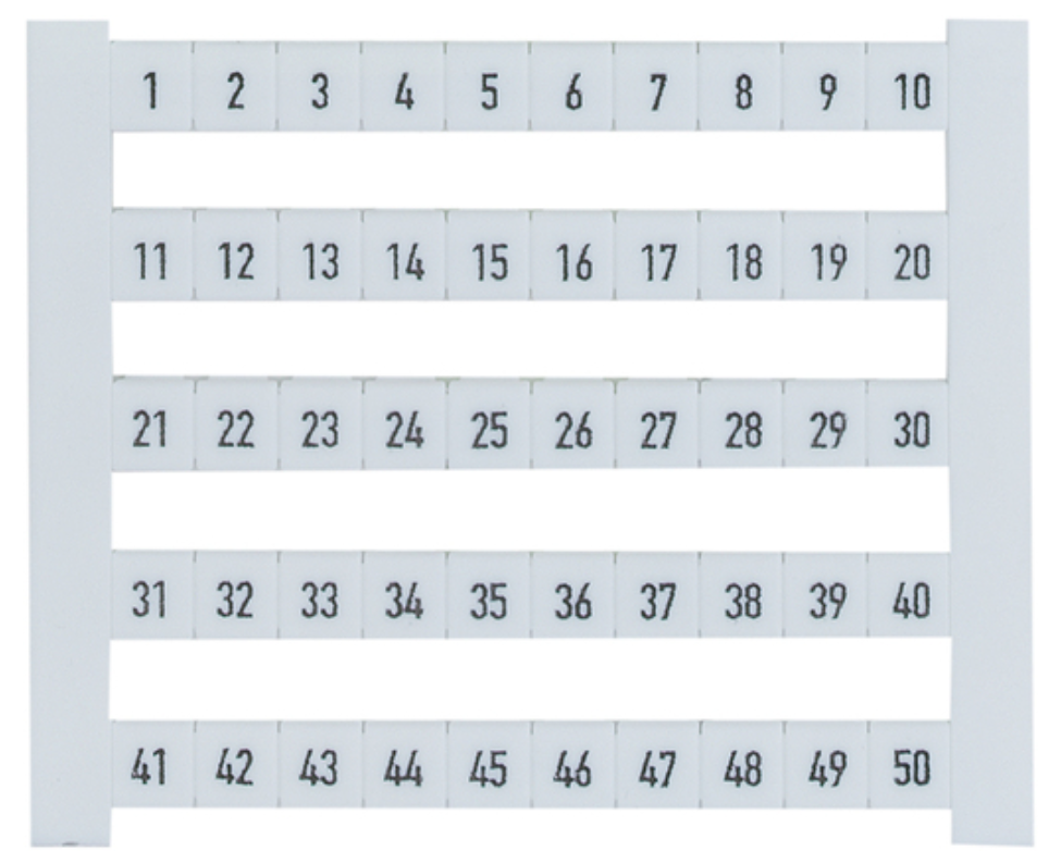 Pilz_312959_Primary.png